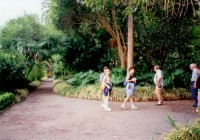 /album/tenerife/a06-jpg4/