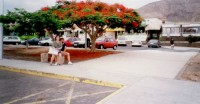 /album/tenerife/a08-jpg4/